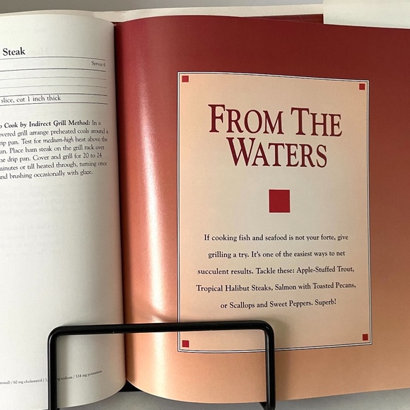 Grill It Right cook book. " For thr Grill Master " - Picture 7 of 11